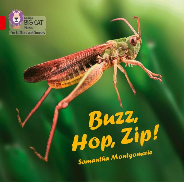 Produktbild: Buzz, Hop, Zip! Big Book