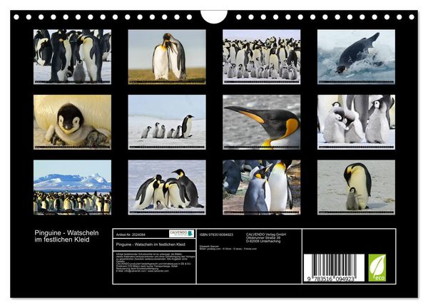 Produktbild: Pinguine - Watscheln im festlichen Kleid (Wandkalender 2026 DIN A4 quer), CALVENDO Monatskalender