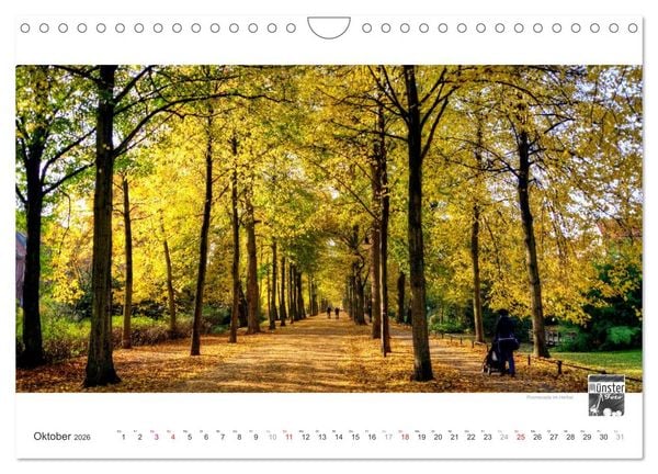 Produktbild: M&Uuml;NSTER :: Ansichten einer lebenswerten Stadt (Wandkalender 2026 DIN A4 quer), CALVENDO Monatskalender