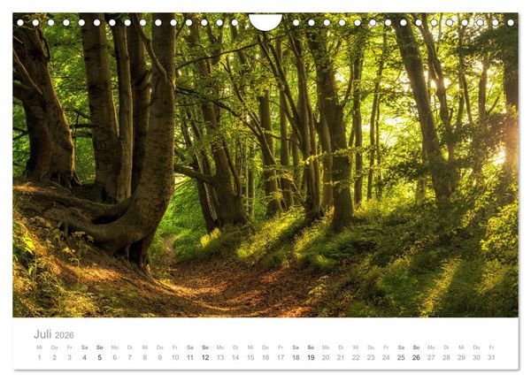 Produktbild: R&uuml;gen ein Sommertraum (Wandkalender 2026 DIN A4 quer), CALVENDO Monatskalender