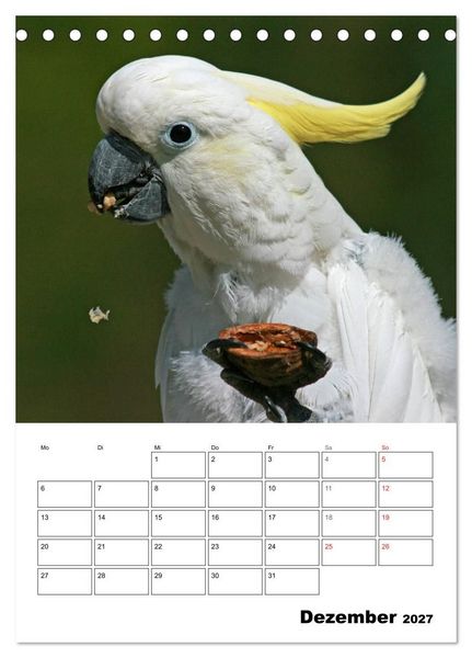 Produktbild: Papageien - Graupapagei, Rosella und Co. (Tischkalender 2027 DIN A5 hoch), CALVENDO Monatskalender