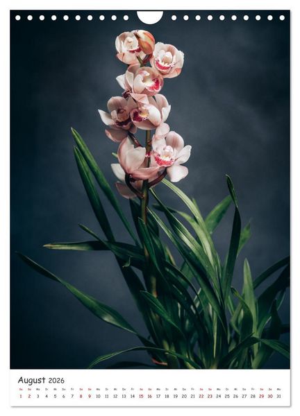 Produktbild: Orchideen Zauber (Wandkalender 2026 DIN A4 hoch), CALVENDO Monatskalender