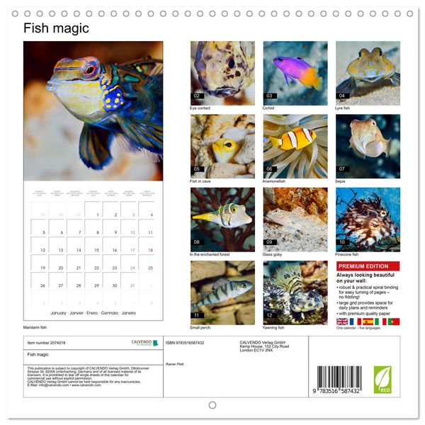 Produktbild: Fish magic (Wall Calendar 2026 12 &times; 12 Inch) CALVENDO 12 Month Wall Calendar