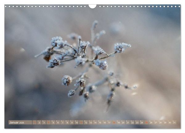 Produktbild: Die Poesie der Pflanzenwelt - Im Wandel der Jahreszeiten (Wandkalender 2026 DIN A3 quer), CALVENDO Monatskalender