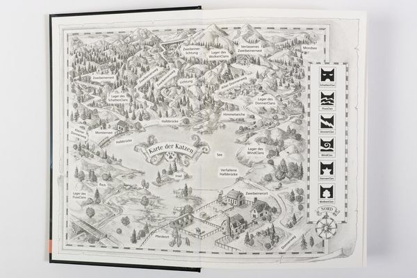 Produktbild: Warrior Cats - Special Adventure. Graustreifs Versprechen