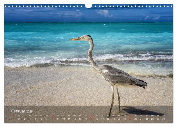 Produktbild: Malediven Impressionen aus dem Paradies (Wandkalender 2026 DIN A3 quer), CALVENDO Monatskalender