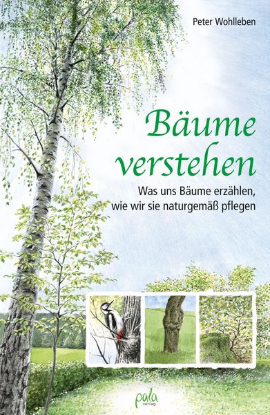 Produktbild: B&auml;ume verstehen