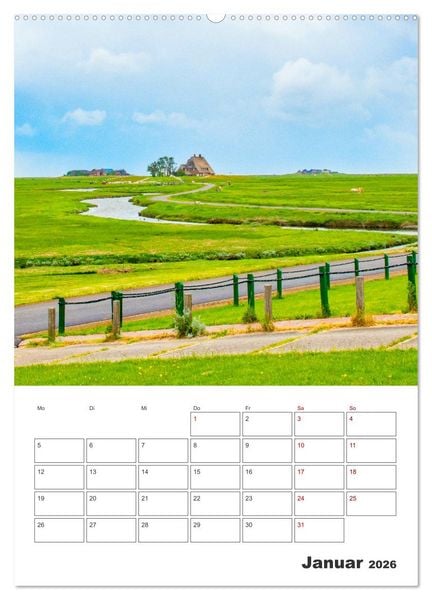Produktbild: Hallig Hooge - Reiseplaner (Wandkalender 2026 DIN A2 hoch), CALVENDO Monatskalender