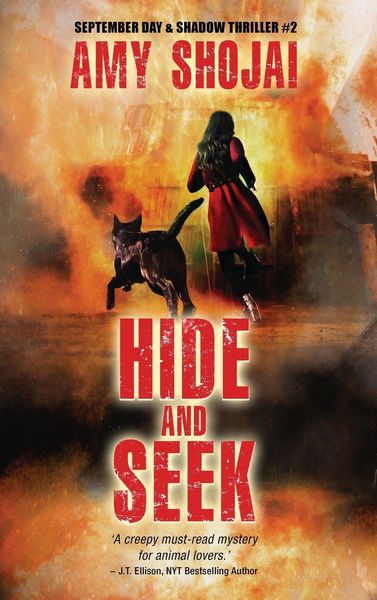 Produktbild: Hide And Seek