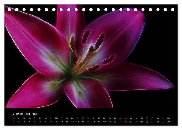 Produktbild: Floral Abstrakt 2026 (Tischkalender 2026 DIN A5 quer), CALVENDO Monatskalender