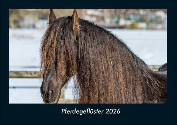 Pferdegeflüster 2026 Fotokalender DIN A4
