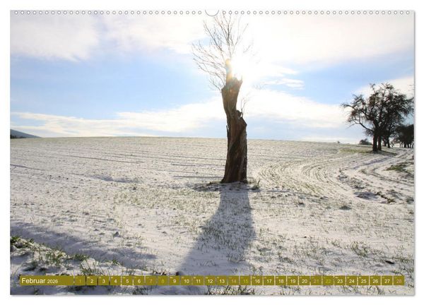 Produktbild: Apfelbaum und Streuobstwiesen (Wandkalender 2026 DIN A2 quer), CALVENDO Monatskalender