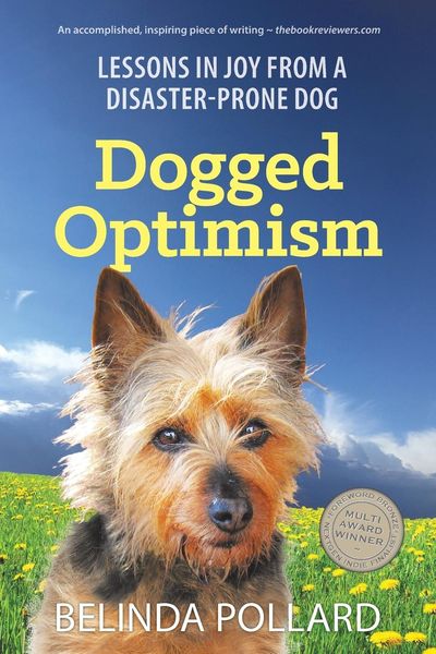 Produktbild: Dogged Optimism