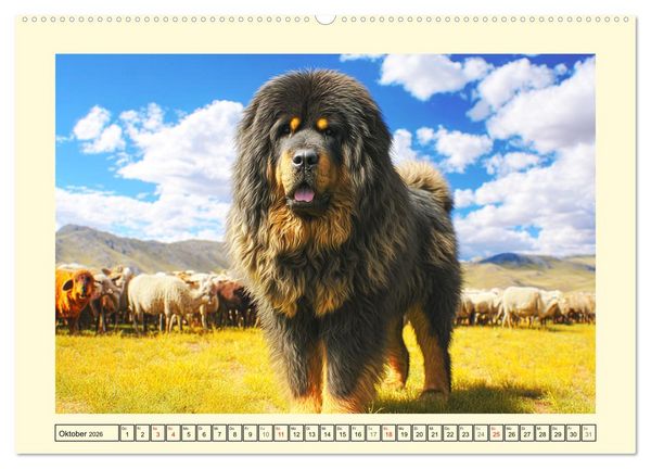 Produktbild: Tibet Mastiffs. Stolze Seelen im Wind der Berge (hochwertiger Premium Wandkalender 2026 DIN A2 quer), Kunstdruck in Hochglanz