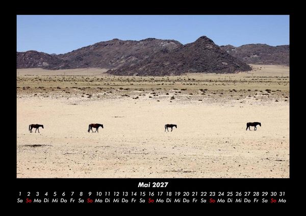 Produktbild: Pferdegefl&uuml;ster 2027 Fotokalender DIN A3