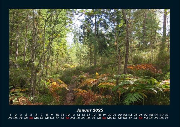 Produktbild: Bilder aus der Natur 2025 Fotokalender DIN A4