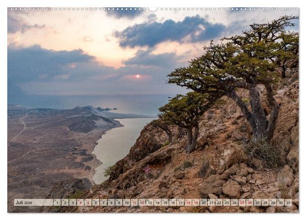 Produktbild: SOKOTRA - Magische Insel (hochwertiger Premium Wandkalender 2026 DIN A2 quer), Kunstdruck in Hochglanz
