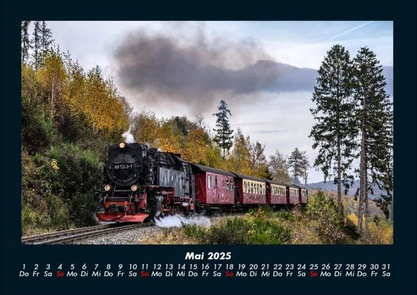 Produktbild: B&auml;ume 2025 Fotokalender DIN A4