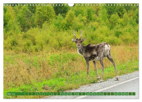 Produktbild: Finnisch Lappland (Wandkalender 2026 DIN A3 quer), CALVENDO Monatskalender