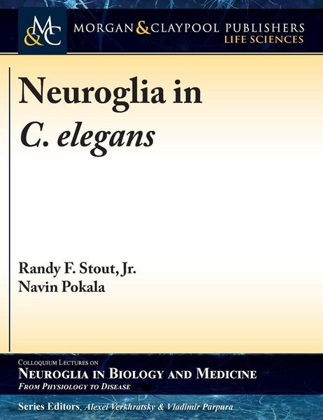 Produktbild: Neuroglia in C. elegans