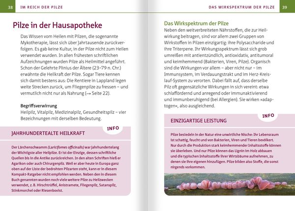 Produktbild: Heimische Heil- und Vitalpilze. Kompakt-Ratgeber