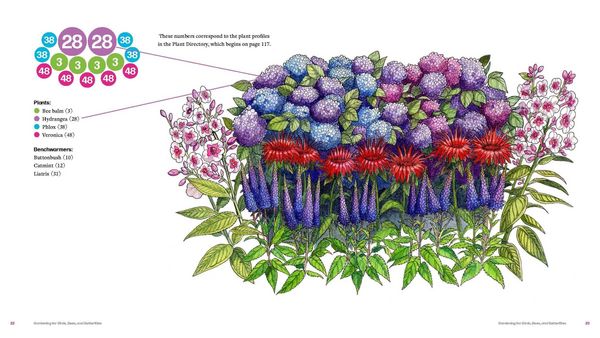 Produktbild: Plant by Number