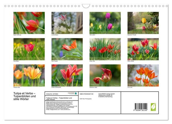 Produktbild: Tulipa et Verba &ndash; Tulpenbl&uuml;ten und stille W&ouml;rter (Wandkalender 2027 DIN A3 quer), CALVENDO Monatskalender