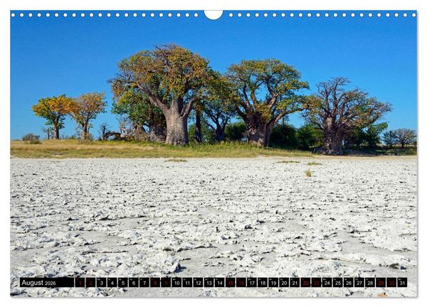 Produktbild: Faszination Botswana (Wandkalender 2026 DIN A3 quer), CALVENDO Monatskalender