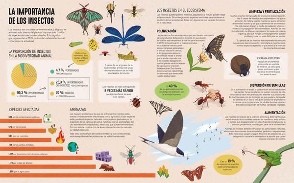 Produktbild: Atlas der bedrohten Tiere