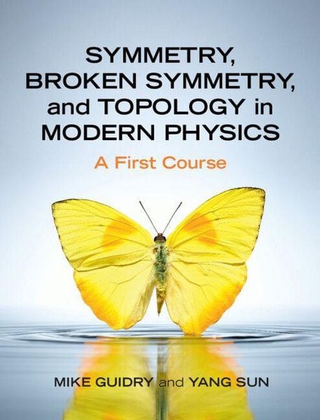 Produktbild: Symmetry, Broken Symmetry, and Topology in Modern Physics