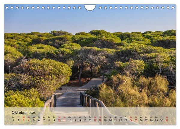Produktbild: Rota, in Spanien (Wandkalender 2026 DIN A4 quer), CALVENDO Monatskalender