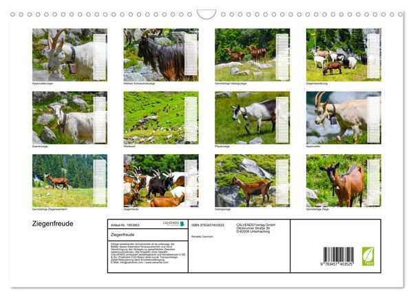 Produktbild: Ziegenfreude (Wandkalender 2026 DIN A3 quer), CALVENDO Monatskalender