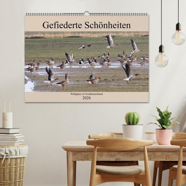 Produktbild: Gefiederte Sch&ouml;nheiten - Wildg&auml;nse in Norddeutschland (Wandkalender 2026 DIN A2 quer), CALVENDO Monatskalender