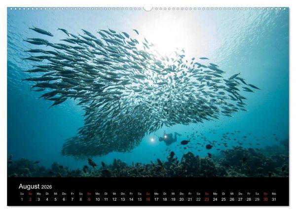 Produktbild: Tanz der Fische (hochwertiger Premium Wandkalender 2026 DIN A2 quer), Kunstdruck in Hochglanz