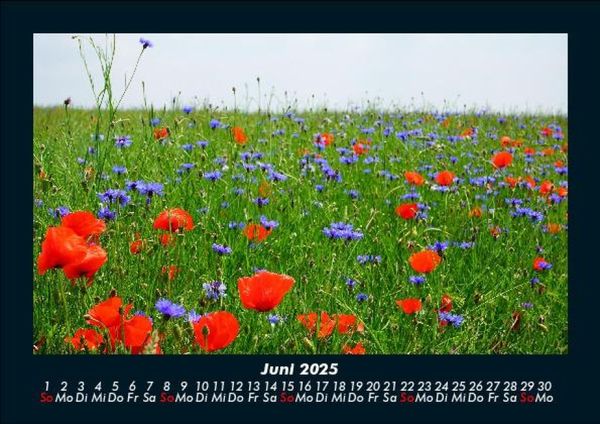 Produktbild: Blumenkalender 2025 Fotokalender DIN A5