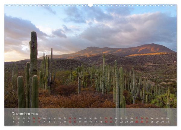 Produktbild: Bekanntes und Unbekanntes MEXIKO (hochwertiger Premium Wandkalender 2026 DIN A2 quer), Kunstdruck in Hochglanz