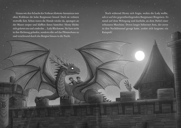 Produktbild: Die geheime Drachenschule 2: Der Drache mit den silbernen H&ouml;rnern