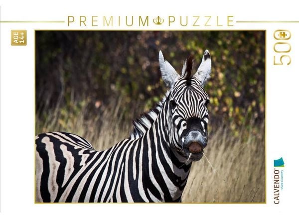CALVENDO Puzzle Zebra, Botswana | 500 Teile Lege-Größe 48 × 36 cm Foto-Puzzle für Erwachsene