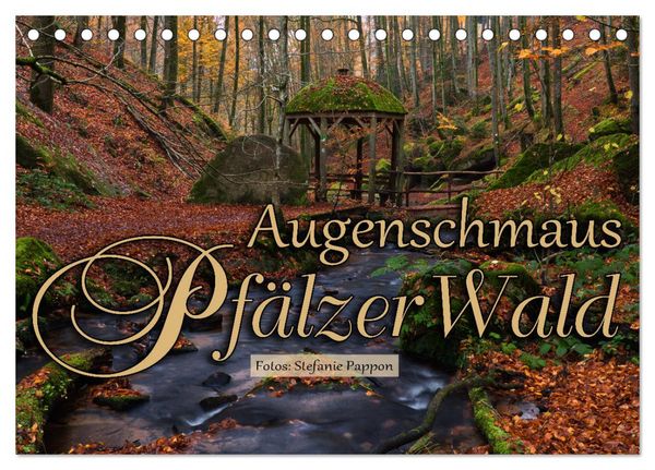 Produktbild: Augenschmaus Pf&auml;lzer Wald (Tischkalender 2026 DIN A5 quer), CALVENDO Monatskalender