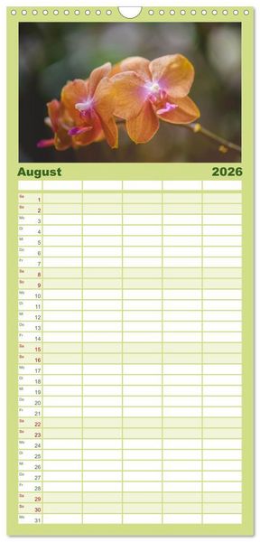 Produktbild: Familienplaner 2026 - Im Schatten der Orchidee mit 5 Spalten (Wandkalender, 21 x 45 cm) CALVENDO
