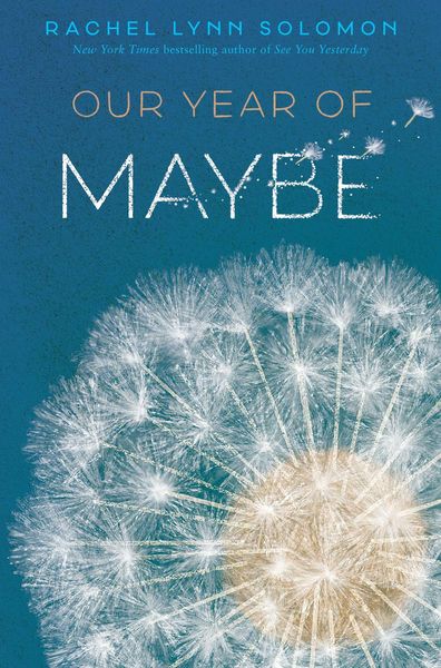 Produktbild: Our Year of Maybe