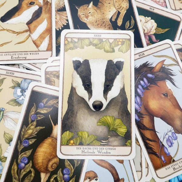 Produktbild: Woodland Wardens: 52 Orakelkarten mit Booklet