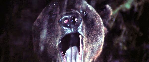 Produktbild: Day of the Animals - Panik in der Sierra Nova - Mediabook - Limited Edition (Blu-ray+DVD)