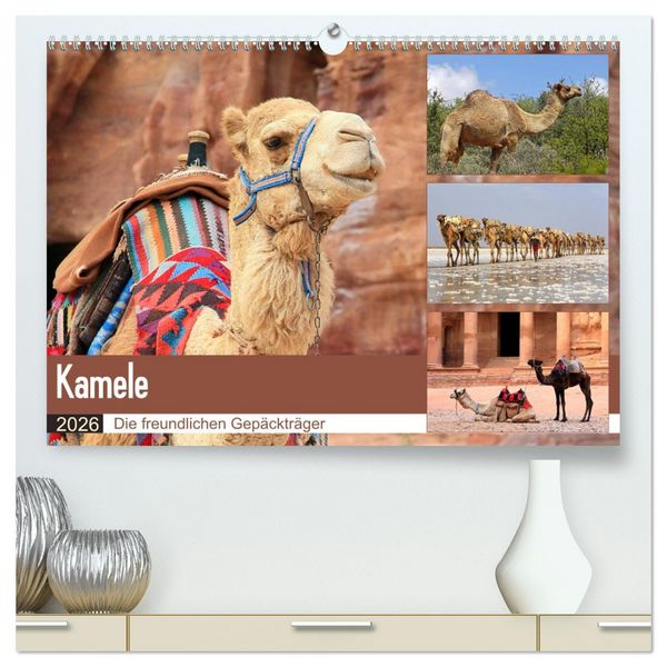 Produktbild: Kamele - Die freundlichen Gep&auml;cktr&auml;ger (hochwertiger Premium Wandkalender 2026 DIN A2 quer), Kunstdruck in Hochglanz