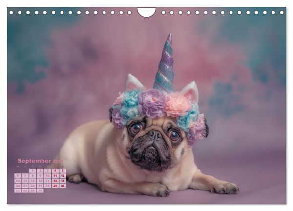 Produktbild: Der wahrscheinlich frechste Mops-Serie der Welt (Wandkalender 2027 DIN A4 quer), CALVENDO Monatskalender