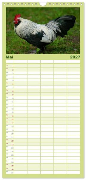 Produktbild: Familienplaner 2027 - Die Welt der H&uuml;hner mit 5 Spalten (Wandkalender, 21 x 45 cm) CALVENDO