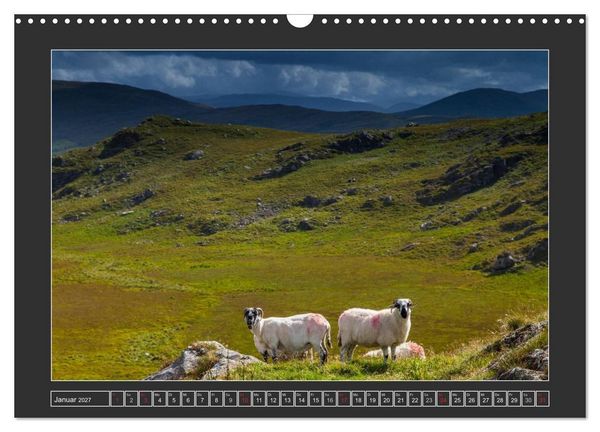 Produktbild: IRLAND - Insel der gl&uuml;cklichen Schafe (Wandkalender 2027 DIN A3 quer), CALVENDO Monatskalender