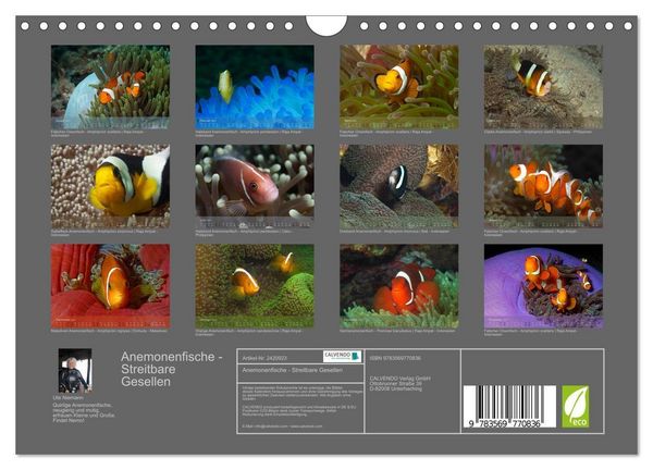 Produktbild: Anemonenfische - Streitbare Gesellen (Wandkalender 2027 DIN A4 quer), CALVENDO Monatskalender