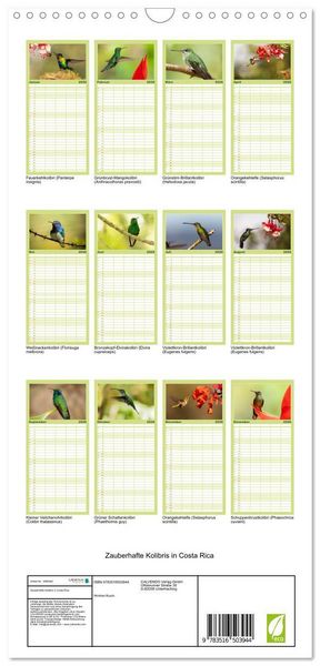 Produktbild: Familienplaner 2026 - Zauberhafte Kolibris in Costa Rica mit 5 Spalten (Wandkalender, 21 x 45 cm) CALVENDO