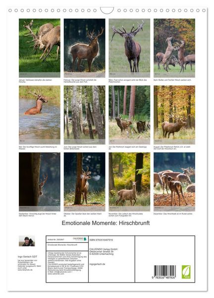 Produktbild: Emotionale Momente: Hirschbrunft (Wandkalender 2026 DIN A3 hoch), CALVENDO Monatskalender